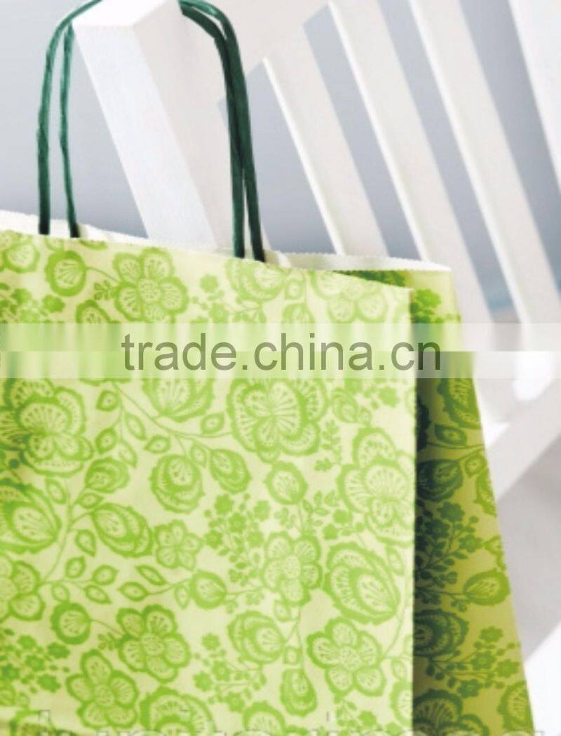 Kraft Paper Gift Bags with Twisted Paper Handles in Solid Colors