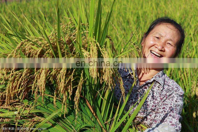 Good quality hot sale Complete rice milling machine/rice mill production line/automatic rice milling processing machine