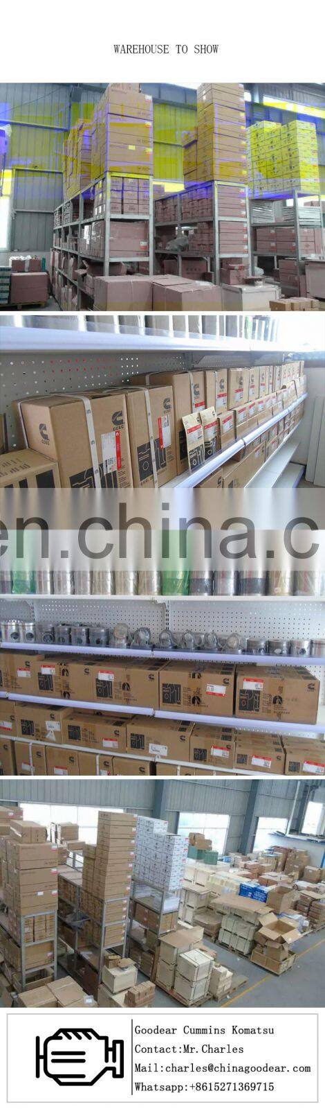 6BT Diesel Engine Parts V-Ribbed Belt 3925953