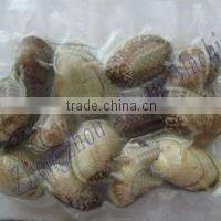 800 double chamber vacuum packing machine for vegetable