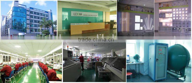 Lighting & lights 5000K/6000K 80CRI buy in china led bulb