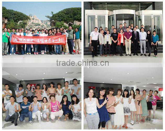 1t 2t 4t 6t wood for firewood industrial steam boiler