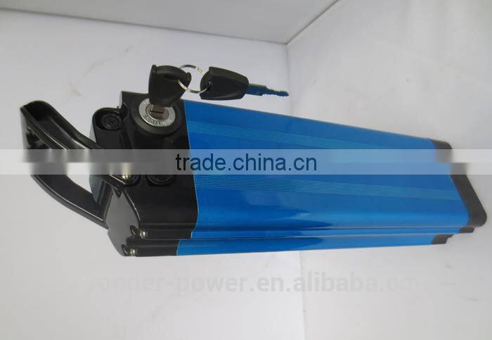 China suppier new hot sale 24v lithium ion battery with high quality CE ROHS UN38.3