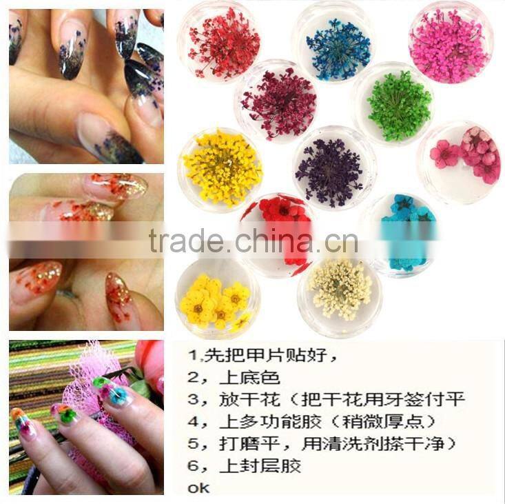Hot sell nail art natural dried flowers for nail art decoration,nail accessory ZX:GH747