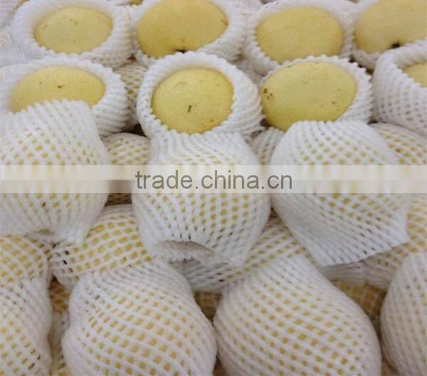 Apple plastic EPE foam net