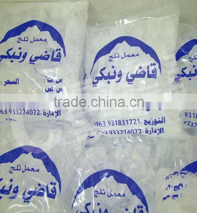 Latest Technology Ice Cube Making Machine with Packing System