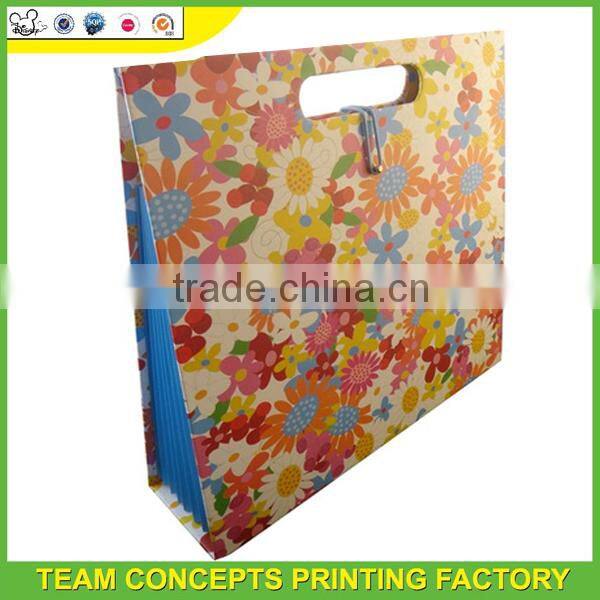 Classical Design a4 clear file folder document holder