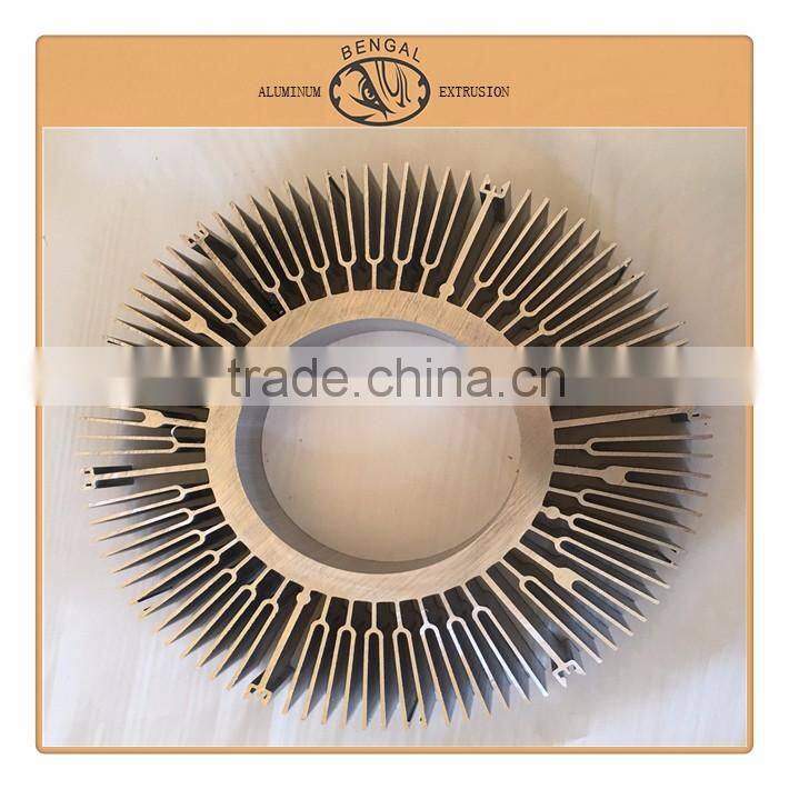Sunflower Hollow Section Radiator alloy Extrusion Aluminum