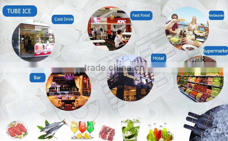 Large scale ice maker 20 ton Tube Ice Machine for South East Asia