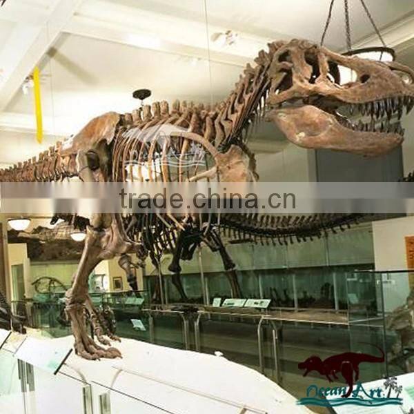 OA-DS-K16062401 high quality dinosaur skeleton model