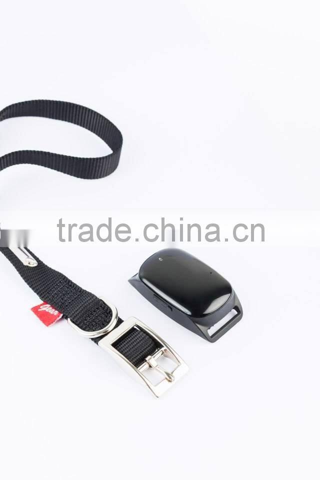 Hot Mini GPS locator worlds smallest pet gps tracker/gps tracker smallest