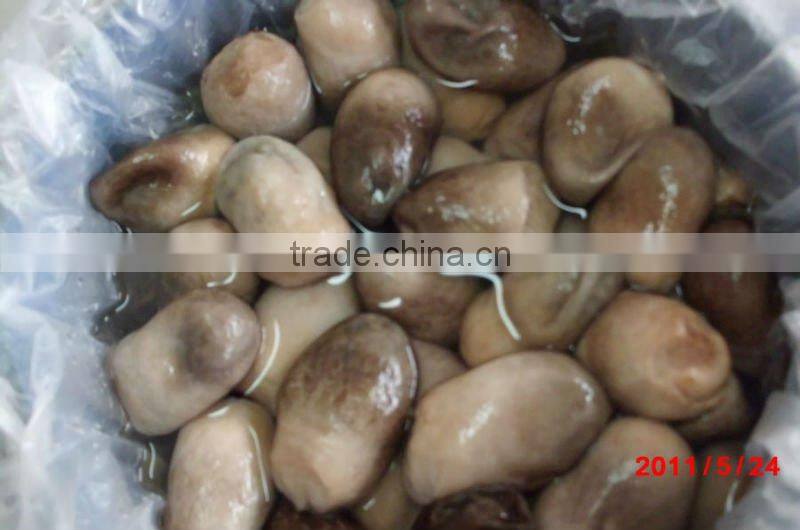 Brined Shiitake Mushroom