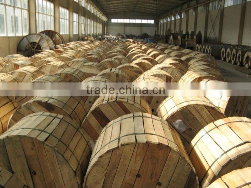 Overhead ACSR Bare Aluminum Conductor steel reinforced