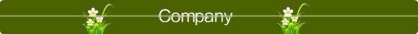 Industrial Tire Radial Tire Commercial Truck Tyres In China