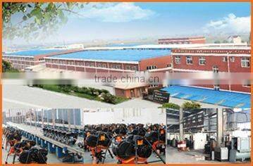 9.0hp engine Diesel Tiller