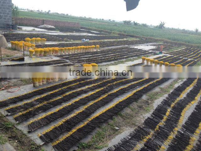 Raw Agarbathies sticks 9"