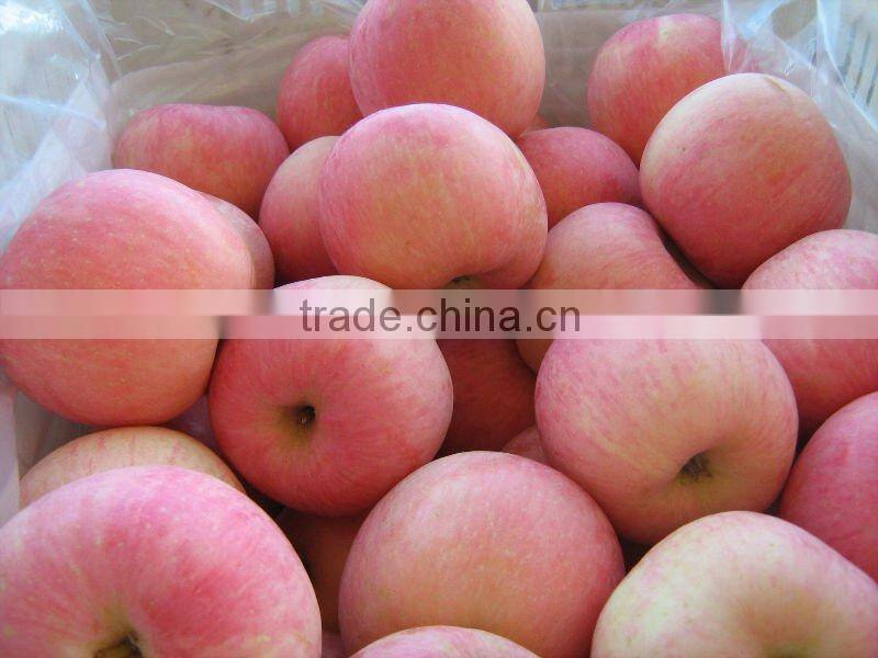 fuji apple in 18/20 carton