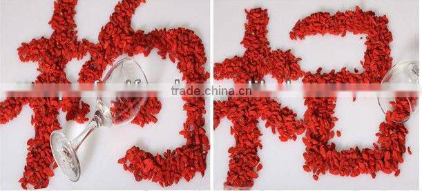 supply for the buyers to import goji berries