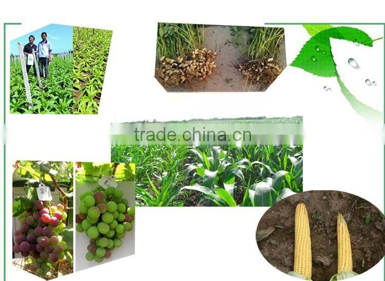 Urea N 46