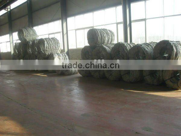 Security Wall Spikes