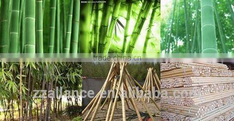J5 China factory best Bamboo toothpick sets