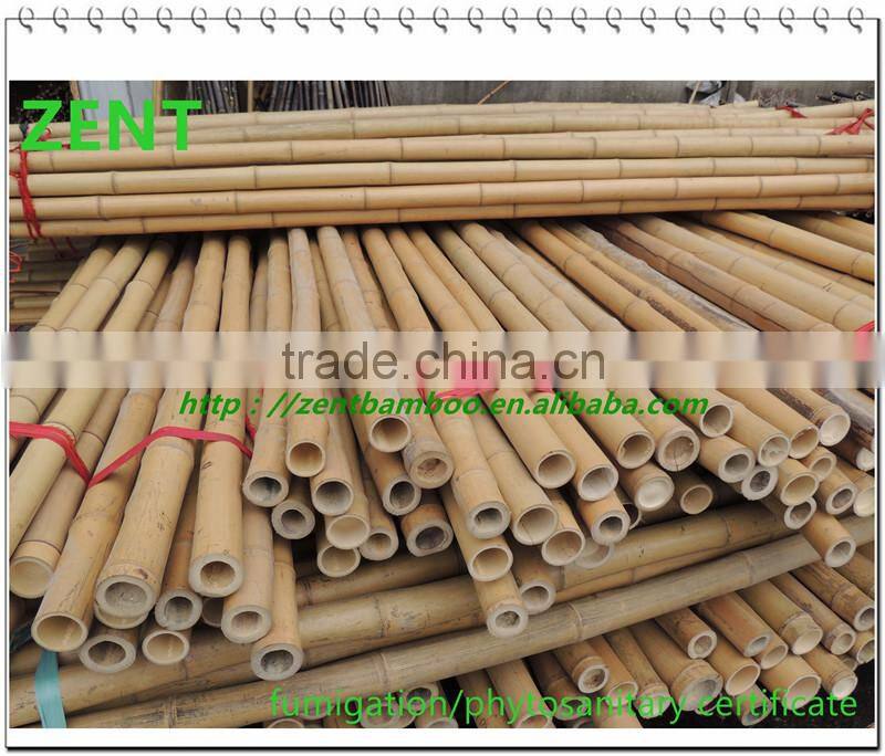 ZENT--121 bamboo poles/ bamboo cane