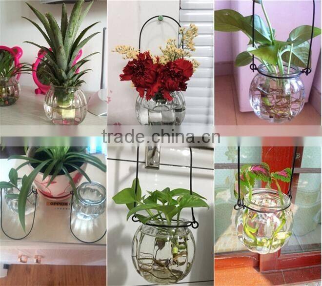 hang transparent glass vase/Other copper grass plants hang bottle hydroponic flower pot