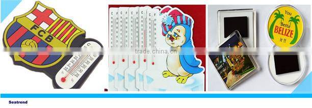 Promotion EU Standard Cheap Custom Souvenir Fridge Magnet