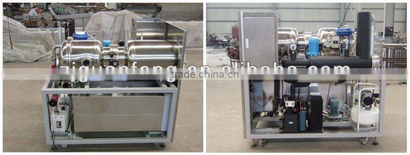 Quality Warranted Food Processing Machinery Fruit Lab Vacuum Freeze Dryer