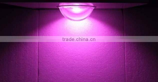 Newest led grow light China factory VANQLED 300w cob grow full spectrum