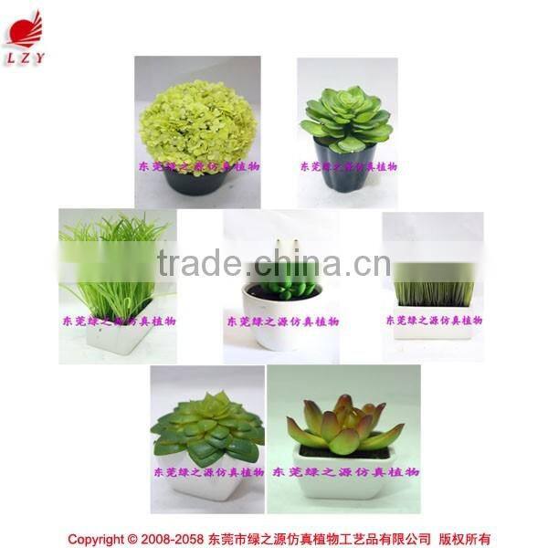 Varied artificial succulents wholesale artificial mini succulents potted