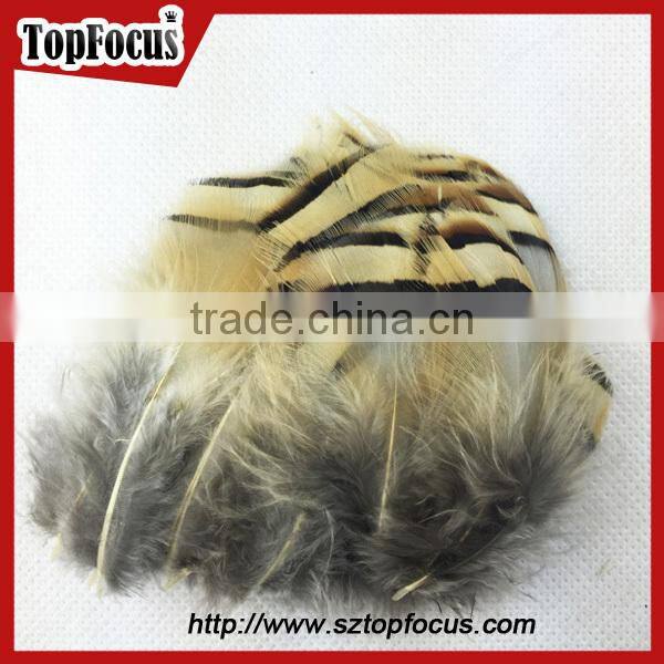 wholesale down pheasant Partridge Plumage Natural pheasant feathers prices
