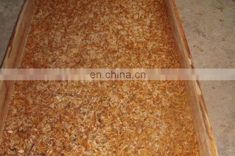 High level Dust- free multifunctional tenebrio molitor Separator machine