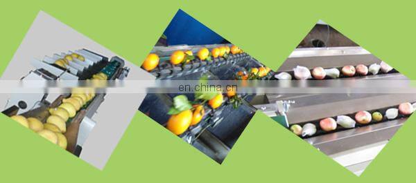Fresh vegetable & fruit washing machine & sorting machine with the factory price