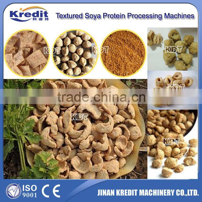 Soya Protein Productiion Line From Jinan Kredit