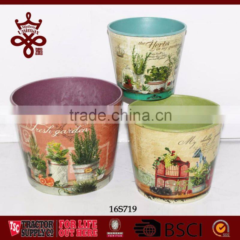 Potted Plants Colorful Window Boxes Shabby Chic Outdoor Planters