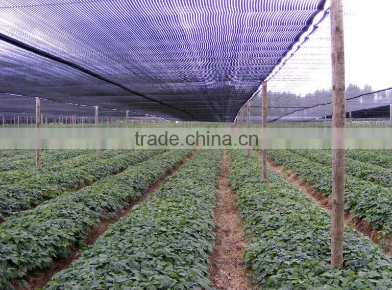 Dark Green , Black Sun Shade Netting ,Hdpe Anti UV Agriculture greenhouse sun shade Net