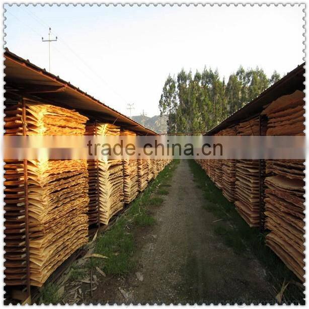 rotary radiate pine veneer factory pine sawn timber pine wood pelet