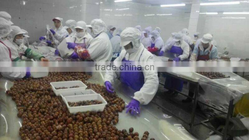 fresh lichee with best quality and hot price