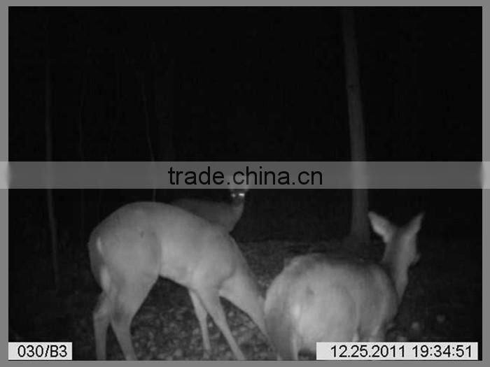 12MP Best Selling night vision 940nm hunting camera mms