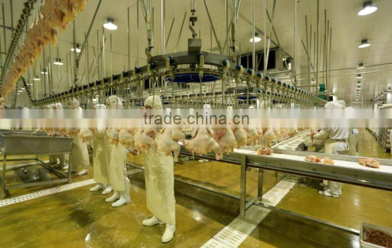 Boneless Skinless HALAL Frozen Chicken Breast