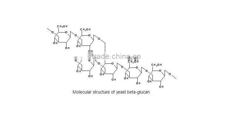 High Quality Yeast Beta Glucans as Pharmaceutical Immune Polysaccharides and Anti Radiation