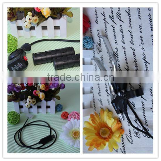 250W DIY SLA sliding rack li-ion battry e-bike kits