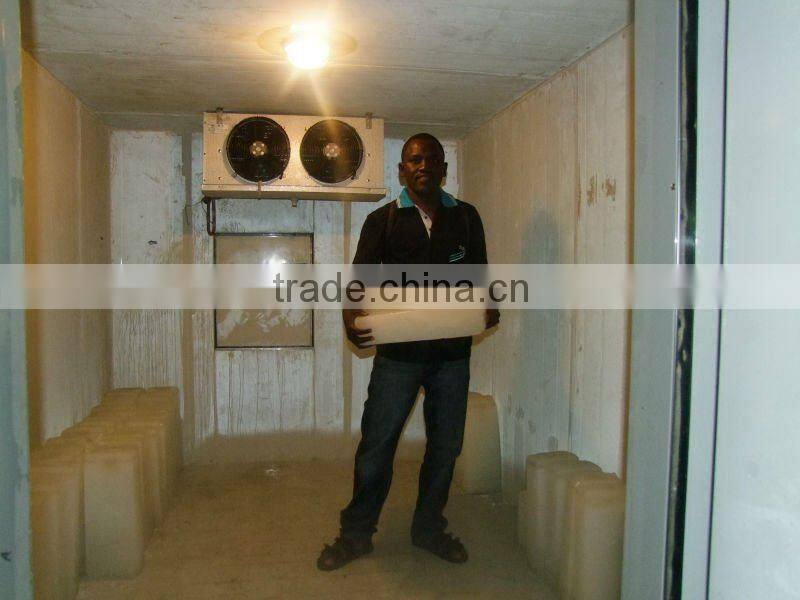 Large capacity Containerized Ice Block Machine maker