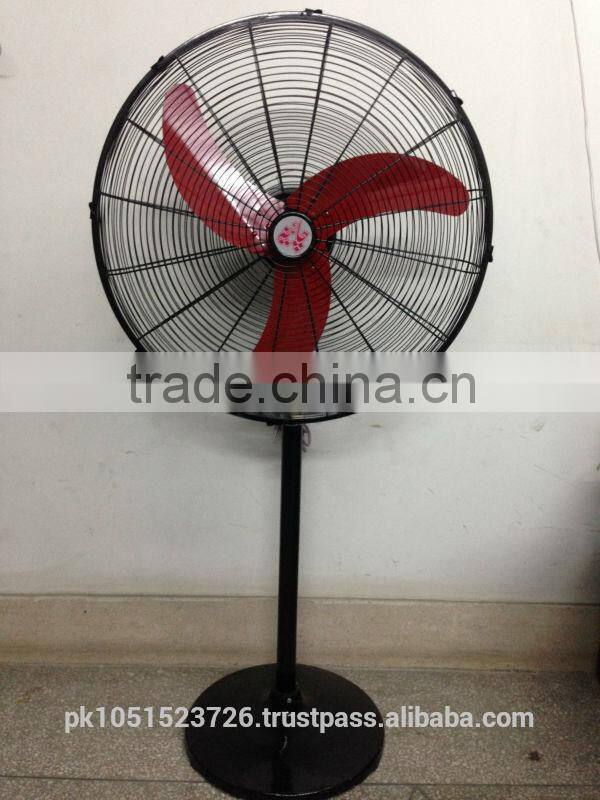 Lucky fan Sudan