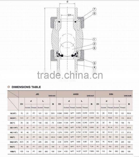 Single Union Ball Check Valve