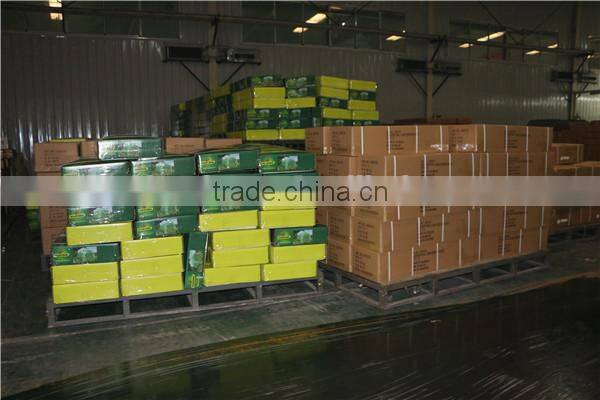 4x8 PVC Canopy Event Party Tent, Wedding Tent PT4811