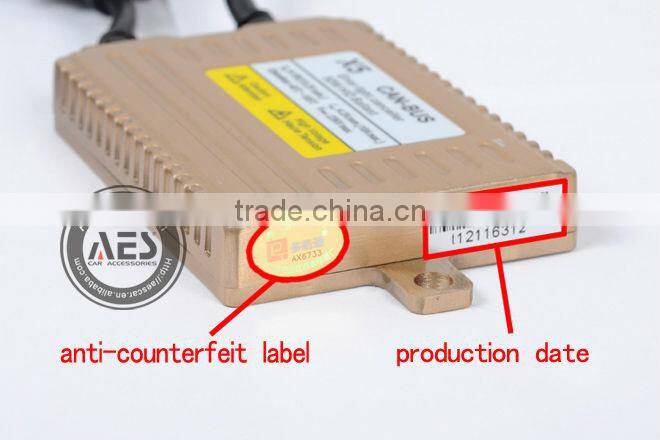 Hot sales Car lighting system HID canbus ballast 55w 12v, Auto Golden canbus ballst X3 X5