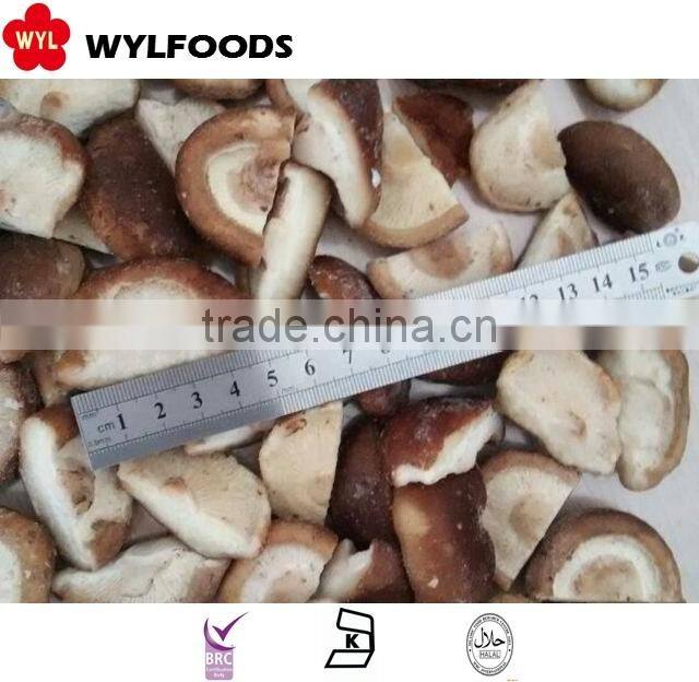 iqf price for frozen shiitake quarter 2015 crop
