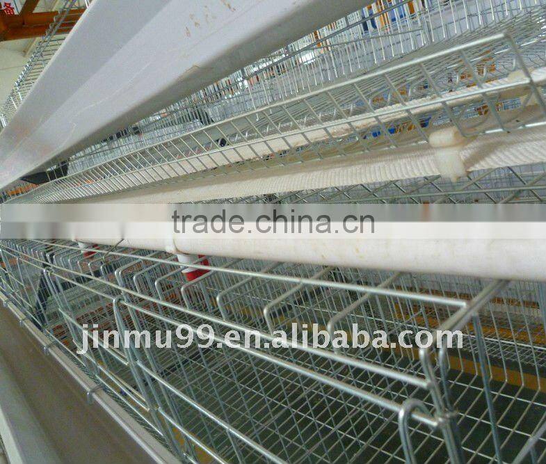 layer chicken poultry house